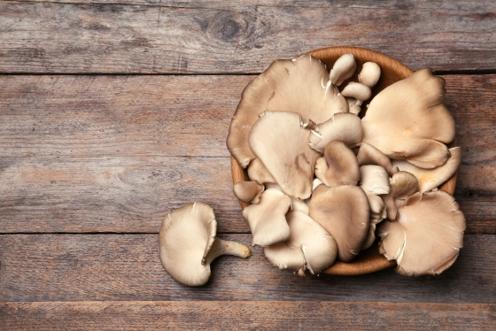 Pleurotus Mushrooms: The Nutrient-Packed Fungi with Remarkable Health Benefits