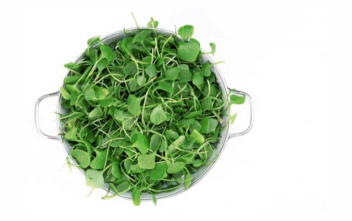 Nasturtium: A Peppery Superfood with Multiple Benefits 🌿