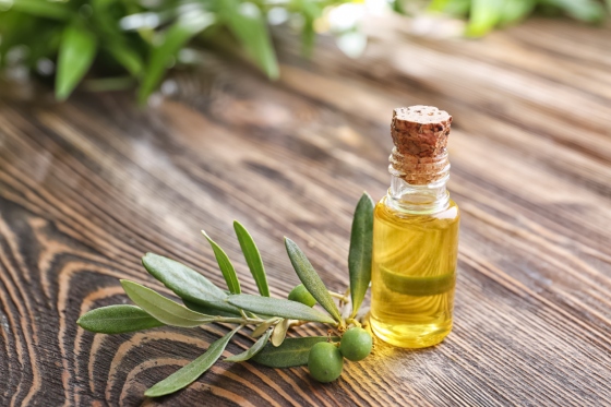 Maslin Leaf Extract: Properties and Health Benefits You Should Know