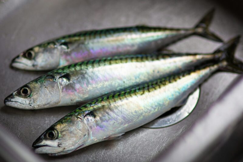Herring: Benefits of Eating This Fish & How to Prepare It Right