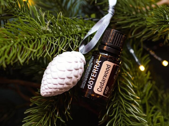 Cedar Oil: Soothing and Balancing Properties on the Nervous System