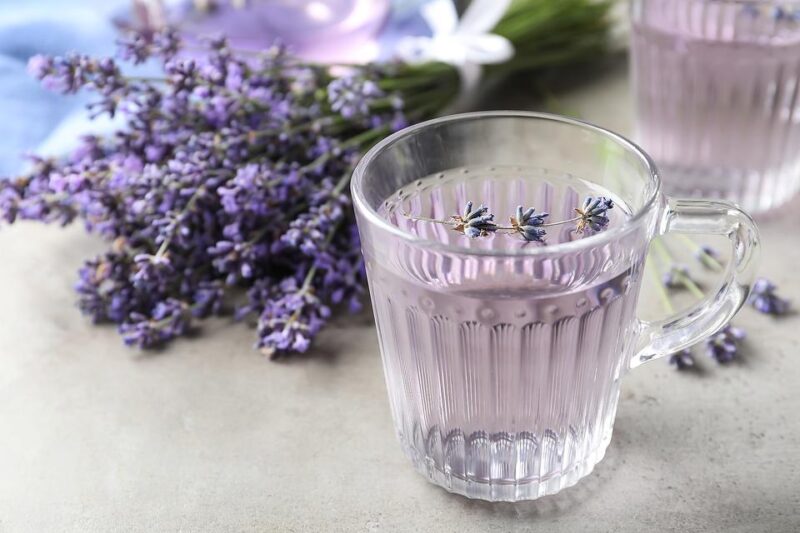 Lavender Water: Properties, Uses, and Expert Recommendations for Everyday Wellness