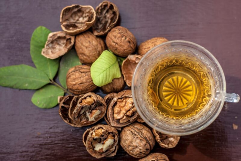 Walnut Tea: Properties, Benefits, and Contraindications