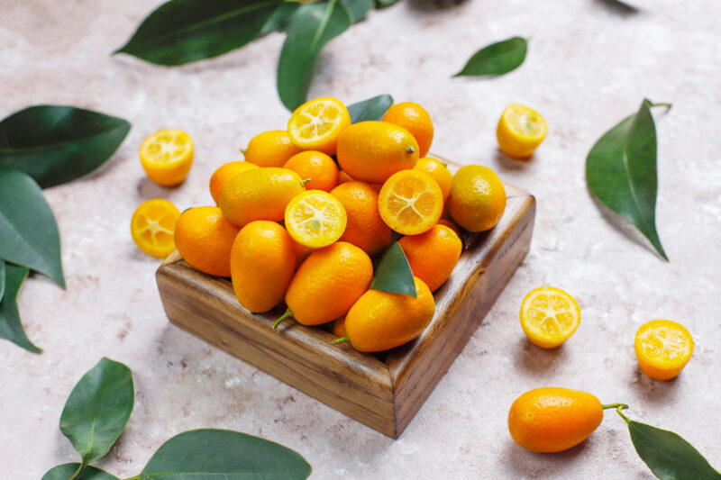 Kumquat – The Tiny Citrus with Big Health Benefits