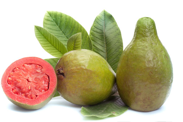 Guava Fruits: A Delicious Powerhouse of Health Benefits