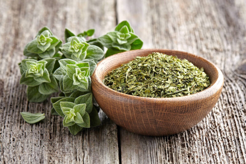 Oregano: The Most Important Benefits and Therapeutic Properties