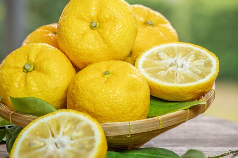 Yuzu: Benefits, Recommendations, and Contraindications