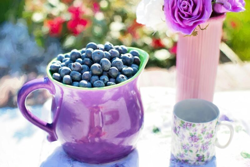 Nature’s Jewels: Discovering the Magic of Blueberries