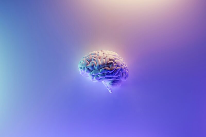 Top 5 Brain Supplements: What Can Help with Mental Clarity and Focus?