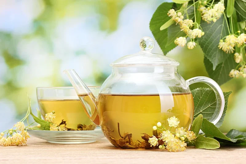 Linden Tea: Benefits, Properties, and Contraindications