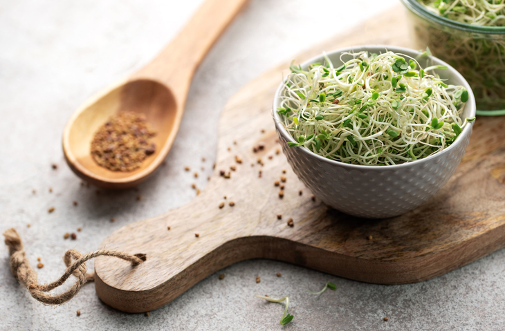 Alfalfa Sprouts: Benefits and Contraindications