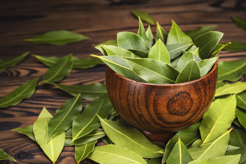 Bay Leaves: Amazing Health Benefits You Should Know