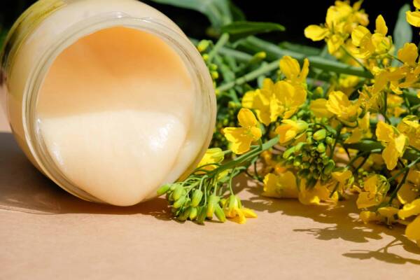 Rapeseed Honey: Unique Benefits for Health and Wellness