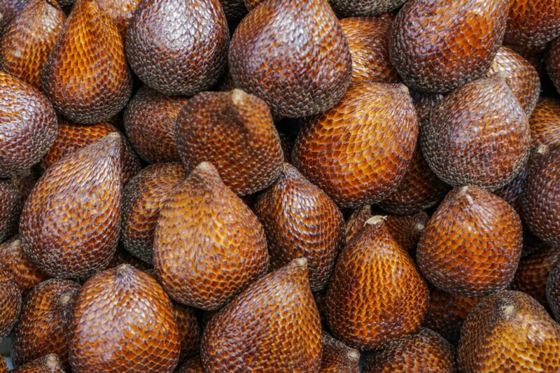 Salak (Snake Fruit): Benefits, Properties, and Contraindications