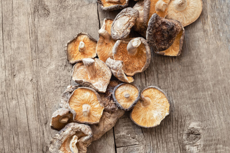 Shiitake Mushrooms: Benefits, Properties, and Contraindications