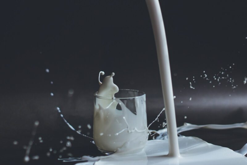 The Milk Diet: What It Consists Of, Recommendations, and Contraindications