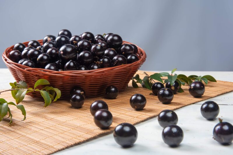 Jabuticaba: Benefits, Properties, and Contraindications